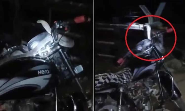 Viral Video: ಬೈಕ್‌ ಮೇಲೇರಿ ಬಂದ ಕಾಳಿಂಗ ಸರ್ಪ…ಸಾವಿನ ದವಡೆಯಿಂದ ಪಾರಾದ ಸವಾರ!