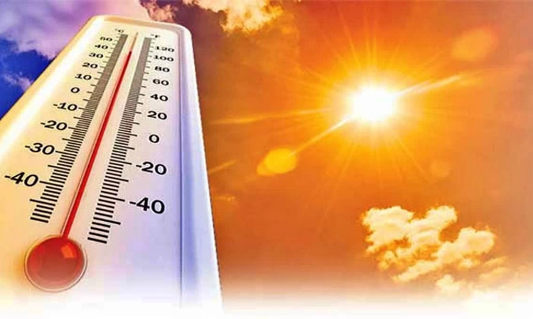 Weather ಬಿಸಿಲಿನ ಹೊಡೆತಕ್ಕೆ ಮೊದಲ ಸಾವು