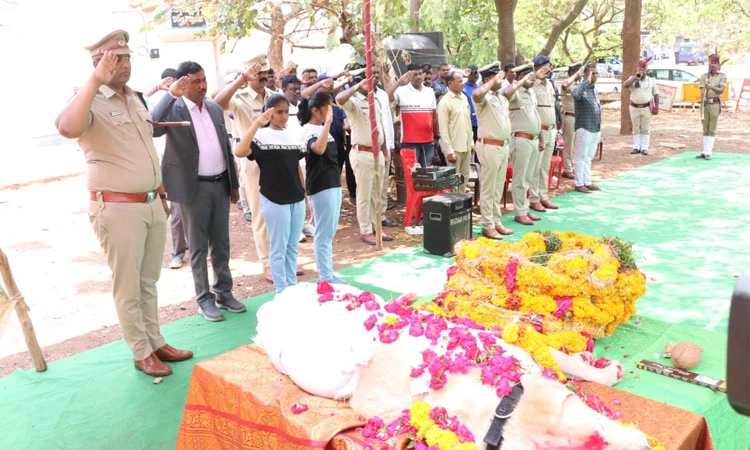 Police Dog; ಪೊಲೀಸ್ ಶ್ವಾನ ಬ್ರೂನೊ ಇನ್ನಿಲ್ಲ; ಸಕಲ ಸರ್ಕಾರಿ ಗೌರವದಿಂದ ನಮನ