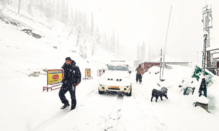 Rain; ಹಿಮಾಚಲದಲ್ಲಿ ಮಳೆ: 172 ರಸ್ತೆಗಳ ಸಂಚಾರ ಬಂದ್‌