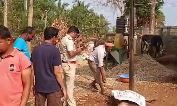 Dharwad; ಮೂರು ಕರುಗಳ ಮೇಲೆ‌ ಚಿರತೆ ದಾಳಿ