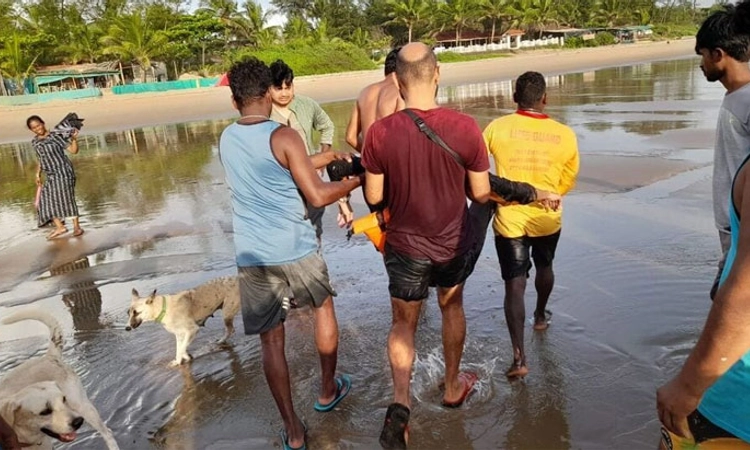 Uttara Kannada ಸಮುದ್ರದಲ್ಲಿ ಮತ್ತೆ ಜೆಲ್ಲಿಫಿಶ್‌ಗಳು: ಪ್ರವಾಸಿಗರಿಗೆ ಭಯ