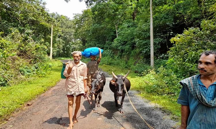 ಪ್ರಕೃತಿ ಸೌಂದರ್ಯದ ಊರು ಈಗ ನರಕ| ­ಜನತೆಗೆ ಬದುಕು ಕಟ್ಟಿಕೊಳ್ಳುವ ತವಕ