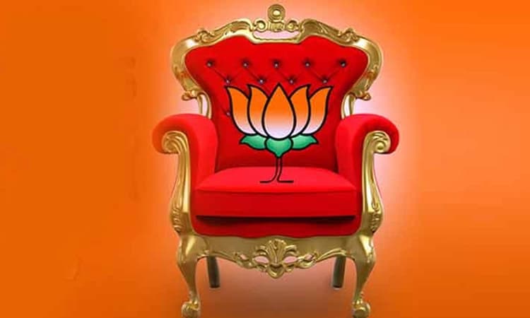 ರಾಜಾಹುಲಿ ಆಟ ಆಡಿದ್ರೆ ಬೊಮ್ಮಾಯಣೋರ್ಗ್ ಕಾಟ..