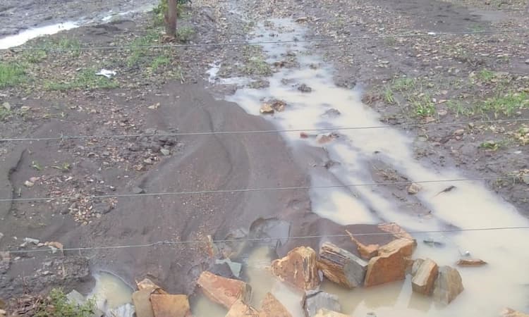 ಸತತ ಮಳೆಗೆ ಜಮೀನುಗಳು ಜಲಾವೃತ