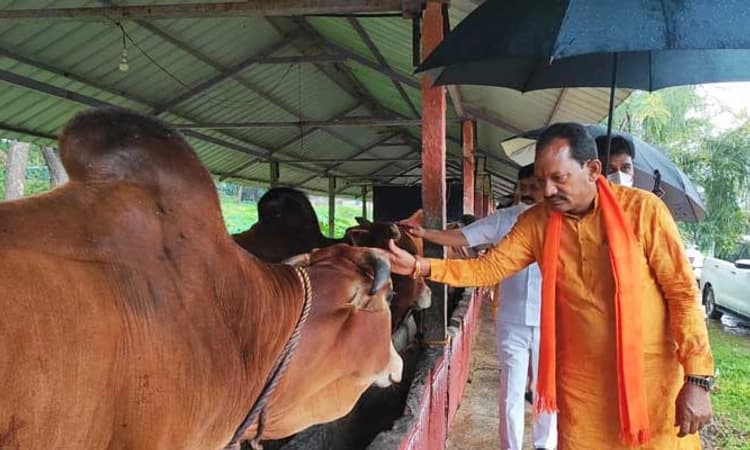 ಗೋವಿನ ಬಗ್ಗೆ ಅರಿವು ಮೂಡಿಸಲು ಕ್ರಮ: ಸಚಿವ ಪ್ರಭು ಚವ್ಹಾಣ್