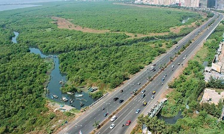 ಪಾಮ್‌ಬೀಚ್‌ ರೋಡ್‌ಗೆ ಸಮಾನಾಂತರ ಸೈಕಲ್‌ ಟ್ರ್ಯಾಕ್