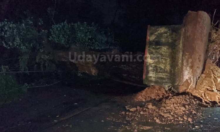 ಗಾಳಿ ಮಳೆಗೆ ಉರುಳಿ ಬಿದ್ದ ಬೃಹತ್ ಗಾತ್ರದ ಮರ : ವಿದ್ಯುತ್ ಕಂಬ, ಮನೆಗಳಿಗೆ ಹಾನಿ