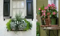 ಹೋಂ ಗಾರ್ಡನ್ : ಮನೆಗಳಾಗಲಿ ಉಪವನ 