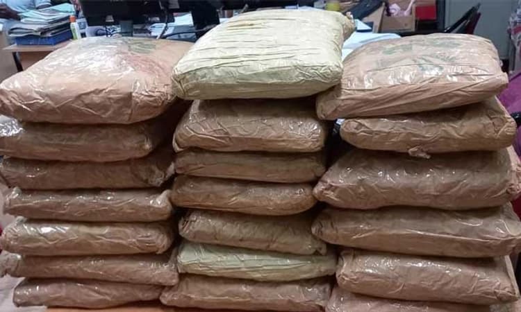 ಲಿಂಬೆ ಹಣ್ಣಿನ ಟ್ರೇಗಳ ನಡುವೆ ಗಾಂಜಾ ಸಾಗಾಟ: 40 ಕೆಜಿ ಗಾಂಜಾ ವಶ, ಇಬ್ಬರ ಬಂಧನ