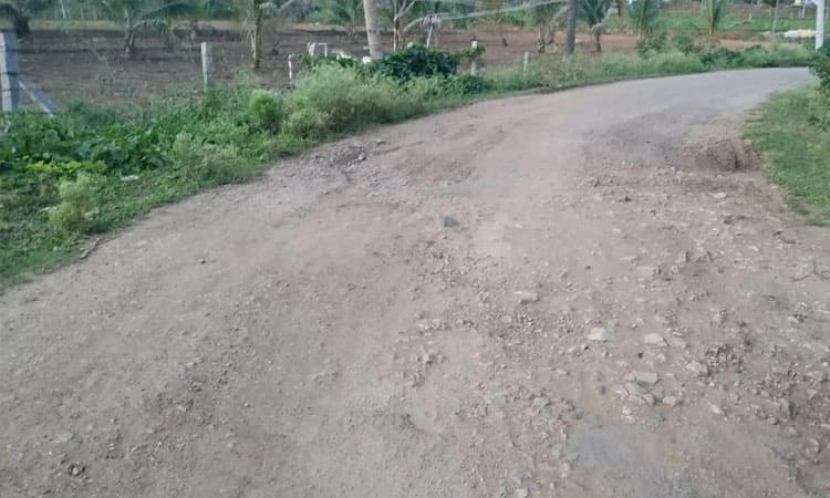 ಗುಂಡಿಬಿದ್ದ ಬೆಂಡರವಾಡಿ ರಸ್ತೆಯಲ್ಲಿ ಸಂಚಾರ ದುಸ್ತರ