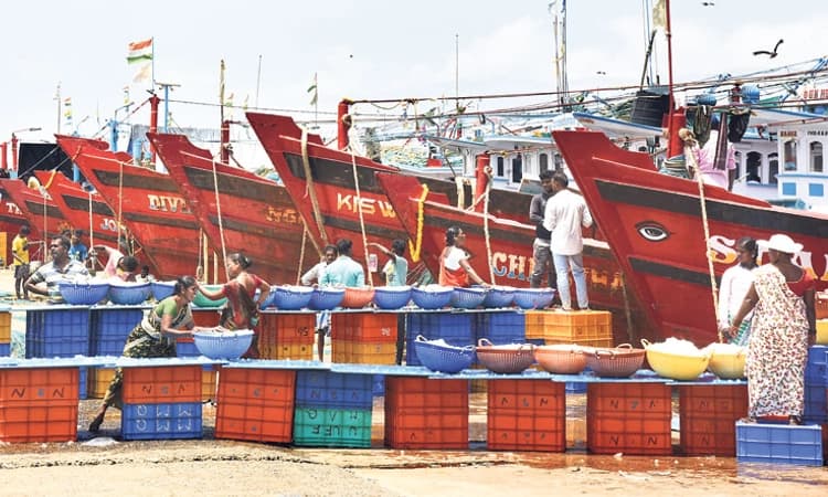 ಇಂದಿನಿಂದ ಕಡಲ ಮೀನುಗಾರಿಕೆ: ವ್ಯಾಪಾರ ವಹಿವಾಟು ವೃದ್ಧಿ