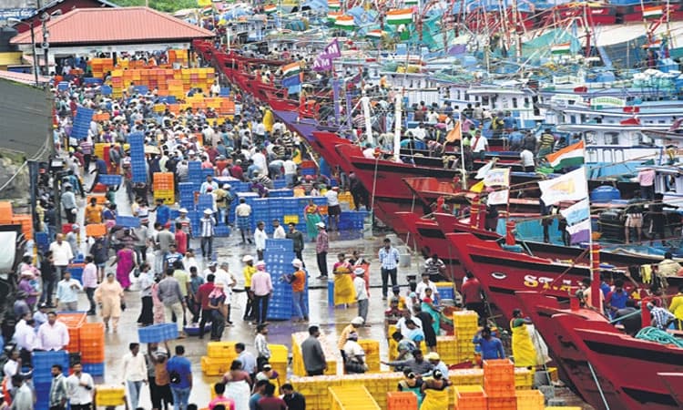 ಮಂಗಳೂರು ದಕ್ಕೆ ; ಹೊಸ ನಿರೀಕ್ಷೆಯೊಂದಿಗೆ ಮೀನುಗಾರಿಕೆಗೆ ಸಿದ್ಧತೆ