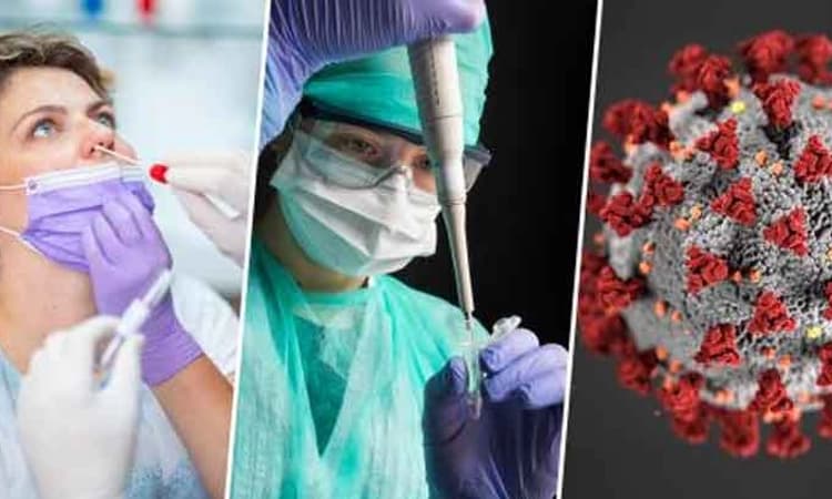 ಭಾರತದಲ್ಲಿ 24ಗಂಟೆಯಲ್ಲಿ 20,409 ಕೋವಿಡ್ 19 ಪ್ರಕರಣ ದೃಢ, 32 ಮಂದಿ ಸಾವು