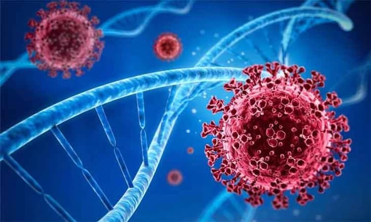 ಭಾರತದಲ್ಲಿ 24ಗಂಟೆಯಲ್ಲಿ 20,557 ಕೋವಿಡ್ ಸೋಂಕು ಪ್ರಕರಣ ದೃಢ, 44 ಮಂದಿ ಸಾವು