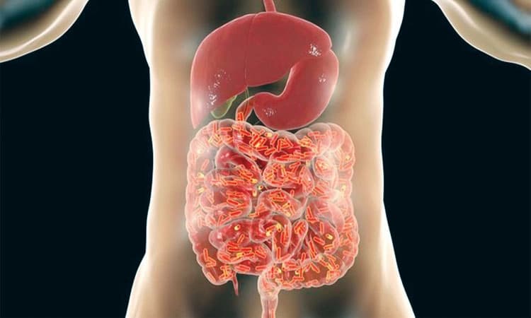 ಹೊಟ್ಟೆಯ ಆರೋಗ್ಯ ಅಂದರೇನು?