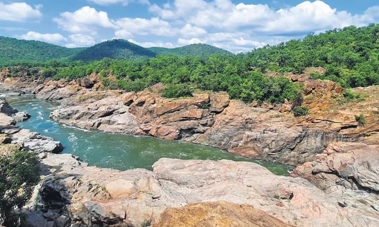 ಮೇಕೆದಾಟು ವಿಚಾರದಲ್ಲಿ ರಾಜ್ಯ ಸಮರ್ಥ ವಾದ ಮಂಡಿಸಲಿ