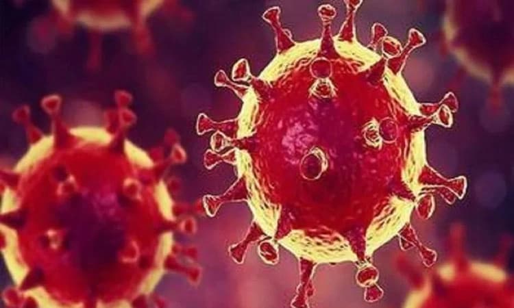 ಉಡುಪಿ 14, ದ.ಕ. 9 ಮಂದಿಗೆ ಕೋವಿಡ್‌    