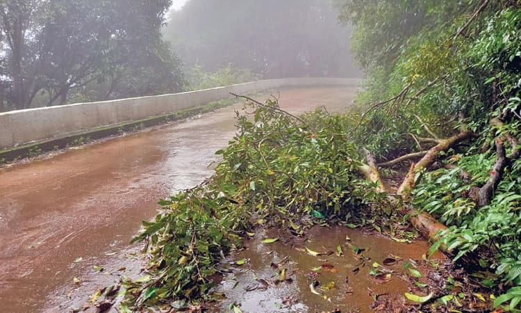 ನಾಗೋಡಿ ಘಾಟಿ ರಸ್ತೆಯಲ್ಲೂ ವಾಹನಗಳ ಒತ್ತಡ: ಕುಸಿಯುವ ಭೀತಿ; ಸಂಚಾರ ಸಂಕಷ್ಟ