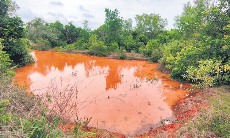 ಪಣಿಯೂರು – ಮಲಂಗೋಳಿ ಗುಳಿಯಿಂದ ಮೇಲೇಳಲಿ: ಕೆಲವು ಕೆಲಸ ಆಗಿವೆ, ಹಲವು ಕೆಲಸ ಆಗಬೇಕಿವೆ