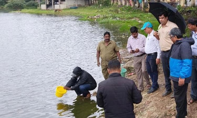 ಸಾಂಕ್ರಾಮಿಕ ತಡೆಗೆ ಮೀನಿಗೆ ಮೊರೆ: ಲಾರ್ವಾ ನಾಶಕ್ಕೆ ಗಪ್ಪಿ ಮೀನು