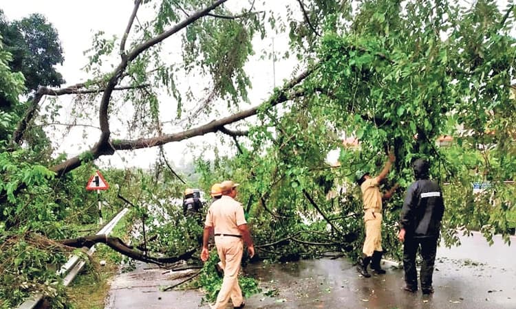ದಕ್ಷಿಣ ಕನ್ನಡ ಜಿಲ್ಲೆಯಲ್ಲಿ ಮತ್ತೆ ಗಾಳಿ-ಮಳೆ; ಹಲವೆಡೆ ಹಾನಿ