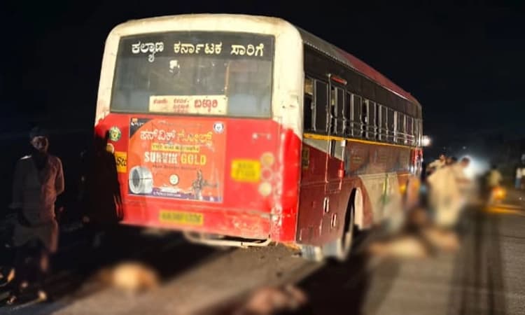 Siruguppa: ಬಸ್ ಹರಿದು 45 ಕುರಿಗಳ ಸಾವು; 20ಕ್ಕೂ ಹೆಚ್ಚು ಕುರಿಗಳಿಗೆ ಗಾಯ