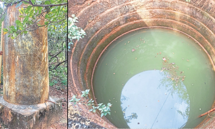 Kundapura: ದರ್ಲೆಗುಡ್ಡೆ ಕೊರಗ ಕಾಲನಿ; ಈಗಲೇ ಕುಡಿಯುವ ನೀರಿಗೆ ತತ್ವಾರ