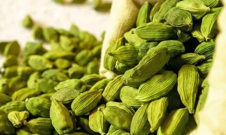 Cardamom: ಜಾಗತಿಕ ಉತ್ಪಾದನೆ ಕುಸಿತ : ಏಲಕ್ಕಿಗೂ ಶುಕ್ರದೆಸೆ: ಕೆ.ಜಿ.ಗೆ 3,000 ರೂ.!