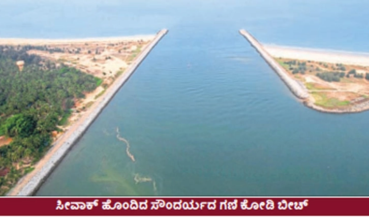 Kundapura: ಮೋಜಿನ ತಾಣಗಳಾಗುತ್ತಿರುವ ಬೀಚ್‌ಗಳು-ಕಡಲಾಮೆಗೆ ಅಪಾಯ!