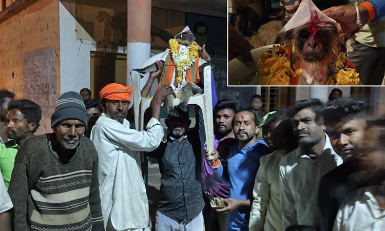 Nalatawad: ವಿದ್ಯುತ್ ಶಾಕ್‌ನಿಂದ ಮೃತಪಟ್ಟ ಕೋತಿಗೆ ಸ್ಥಳೀಯ ನಿವಾಸಿಗಳಿಂದ ಅಂತ್ಯಸಂಸ್ಕಾರ