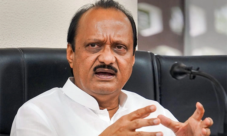 NCP Vs NCP: ಶರದ್‌ ಬಣದ ವಿರುದ್ಧ 29 ಕ್ಷೇತ್ರ ಗೆದ್ದ ಅಜಿತ್‌ ಬಣ