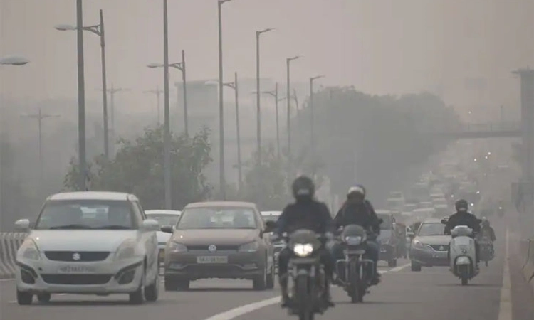 Delhi pollution:ಪ್ರಾಣಿಗಳಲ್ಲಿ ಹೆಚ್ಚಿದ ಶ್ವಾಸ ಸಂಬಂಧಿ ಕಾಯಿಲೆ