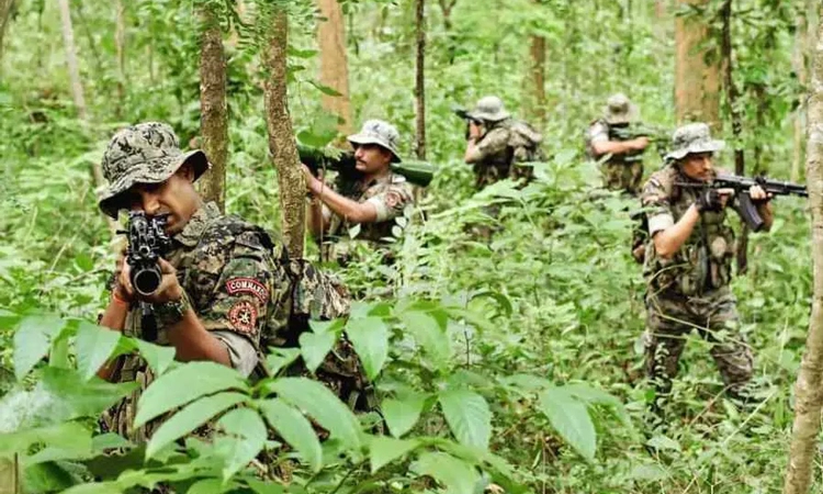 Chhattisgarh: ಭದ್ರತಾ ಪಡೆ ದಾಳಿಗೆ 10 ನಕ್ಸಲರು ಹತ… ಅಪಾರ ಪ್ರಮಾಣದ ಶಸ್ತ್ರಾಸ್ತ್ರ ವಶ