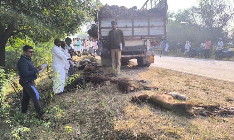 Tawargera: ಚಲಿಸುತ್ತಿದ್ದ ಬಸ್ಸಿಗೆ ಡಿಕ್ಕಿ ಹೊಡೆದು ನಂತರ ಕುರಿಗಳ ಮೇಲೆ ಹರಿದ ಕ್ಯಾಂಟರ್