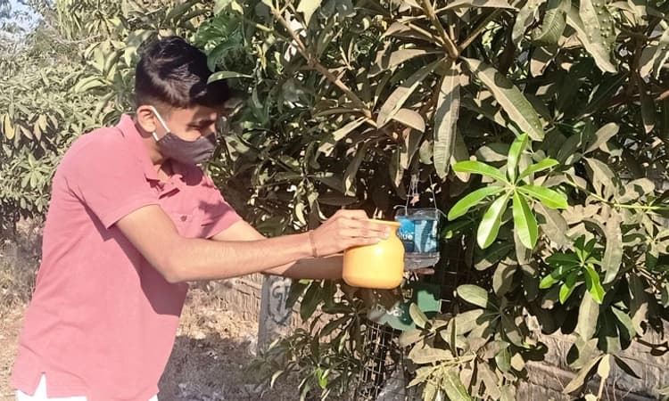 ಪಕ್ಷಿ ಸಂಕುಲಕ್ಕೆ ದಣಿವಾರಿಸುವ ಪ್ರಯತ್ನ