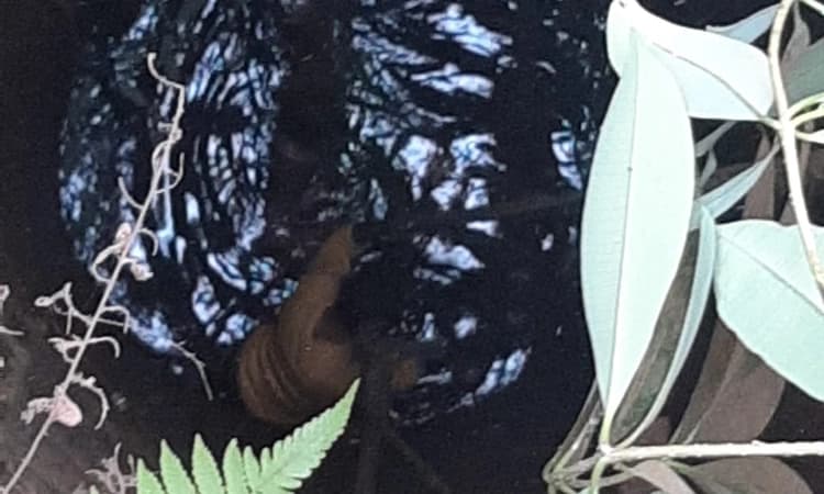 ಬಾವಿಗೆ ಹಾರಿ ಆತ್ಮಹತ್ಯೆಗೆ ಯತ್ನಿಸಿದ ಮಹಿಳೆ : ಯುವಕನ ಸಮಯ ಪ್ರಜ್ಞೆಯಿಂದ ಉಳಿಯಿತು ಜೀವ