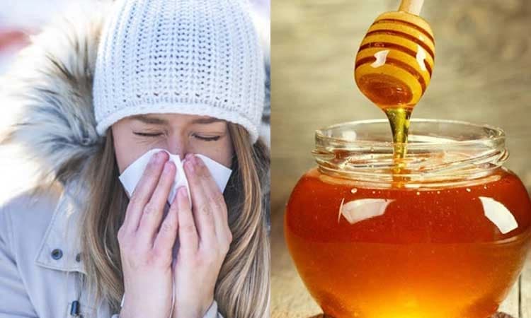 ಚಳಿಗಾಲದಲ್ಲಿ ಕಾಡುವ ರೋಗಗಳು ಮತ್ತು ಪರಿಹಾರ