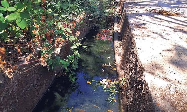 ಗಬ್ಬು ವಾಸನೆ, ಸ್ಥಳೀಯರಲ್ಲಿ ಸಾಂಕ್ರಾಮಿಕ ರೋಗ ಭೀತಿ