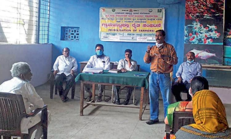 ಮತ್ಸ್ಯಾಮೃತ ಎಫ್‌ಪಿಒ ಸ್ಥಾಪನೆಯಲ್ಲಿ ಸಾಧನೆ : ‌ ಮೀನು ಉತ್ಪಾದನೆ ಹೆಚ್ಚಳಕ್ಕೆ ಪ್ರೋತ್ಸಾಹ