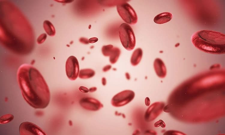 ಪೌಷ್ಟಿಕಾಂಶ ಕೊರತೆಯಿಂದ ಉಂಟಾಗುವ ರಕ್ತಹೀನತೆ