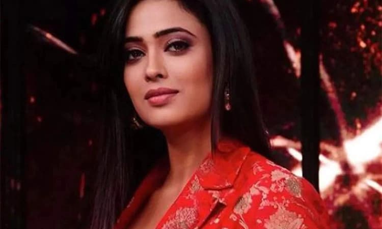 ಕಿರುತೆರೆ ನಟಿ ಶ್ವೇತಾ ತಿವಾರಿ ವಿರುದ್ಧ ಎಫ್​ಐಆರ್​ ದಾಖಲು