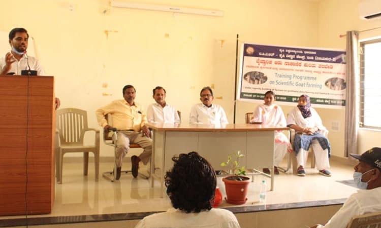 ವೈಜ್ಞಾನಿಕ ಆಡು ಸಾಕಾಣಿಕೆಗೆ ಸಲಹೆ