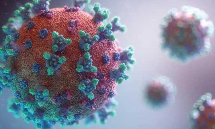 ನಗರದ ಹೊರಭಾಗದಲ್ಲೇ ಸೋಂಕು ಅಧಿಕ