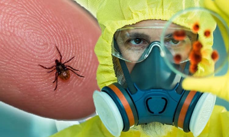 ಕೋವಿಡ್ ನಡುವೆ ಶಿವಮೊಗ್ಗ ಜಿಲ್ಲೆಗೆ ಮತ್ತೊಂದು ವೈರಸ್ ಆತಂಕ!