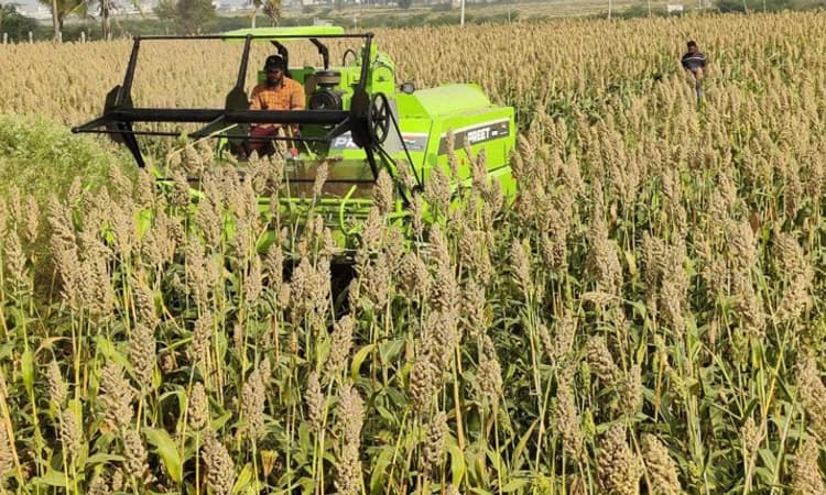 ಜೋಳ ಬೆಳೆಗಾರರ ಭವಿಷ್ಯ ಅತಂತ್ರ