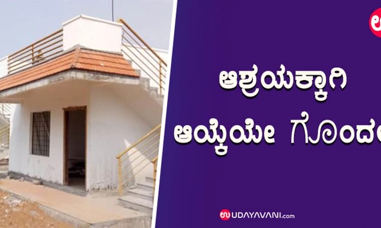 ಆಶ್ರಯಕ್ಕಾಗಿ ಆಯ್ಕೆಯೇ ಗೊಂದಲ!