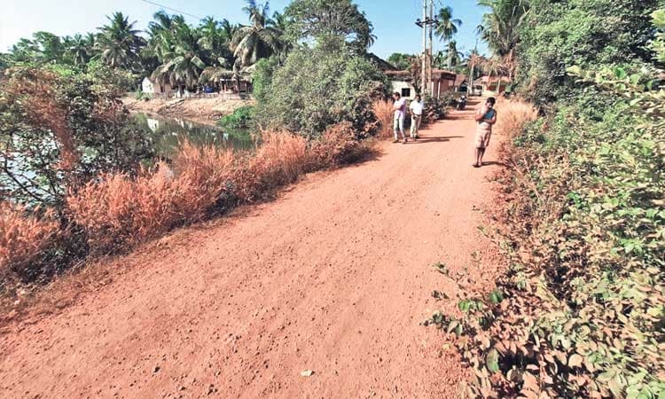 ಕಿರು ದ್ವೀಪಕ್ಕೆ ಸೇತುವೆ ನಿರ್ಮಿಸಲು ಯೋಜನೆ : ನಾಯರ್‌ ಕುದ್ರು ಶೀಘ್ರ ಸೇತುವೆ ಭಾಗ್ಯ