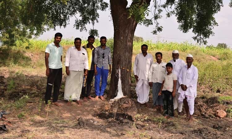 ಹನುಮಸಾಗರ: ಬೇವಿನ ಮರದಲ್ಲಿ ಬಿಳಿ ಹಾಲು; ಪವಾಡವೆಂದೇ ನಂಬಿ ಜನರಿಂದ ನಿತ್ಯ ಪೂಜೆ