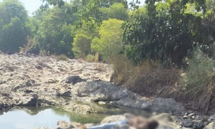 Ramanagara: ಪ್ರವಾಸಕ್ಕೆ ಬಂದಿದ್ದ ಐವರು ವಿದ್ಯಾರ್ಥಿಗಳು ನೀರುಪಾಲು